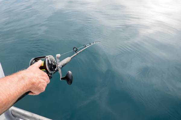 Thing To Do Fishing in Panama City Beach